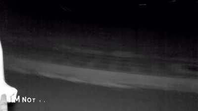 The Blair Bitch Project 🙉