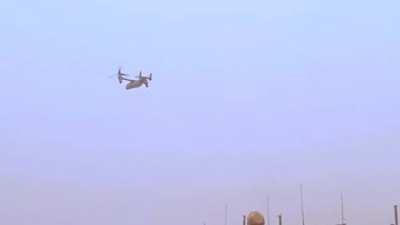 Konga TNT. I will never make fun of the new King Kong movies ever again.