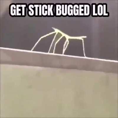 Get Stick Bugged Lol