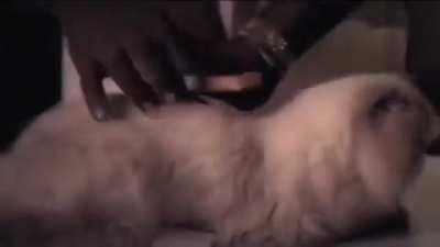 Physics has left the chat