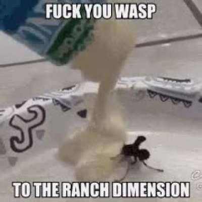 Into the ranch dimension