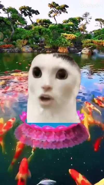 You are not prepared