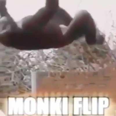 Monki fliped🐒🐒