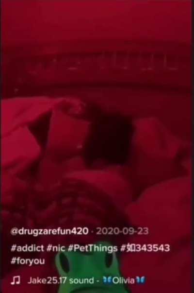 Jumping on bed the recoil is insane