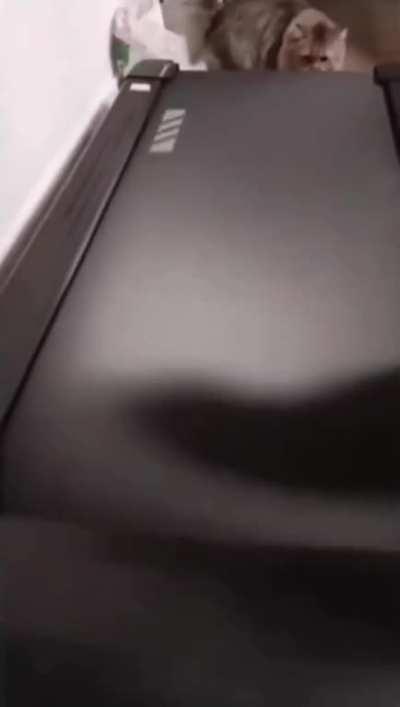 Nah .. Faster .. Faster still, got it