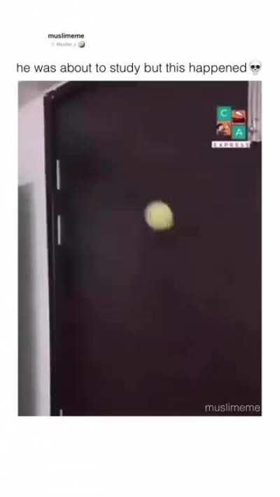 NANIKPosting - Video #4768