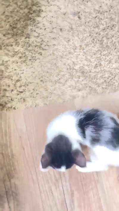 My boys were especially vocal when they were little