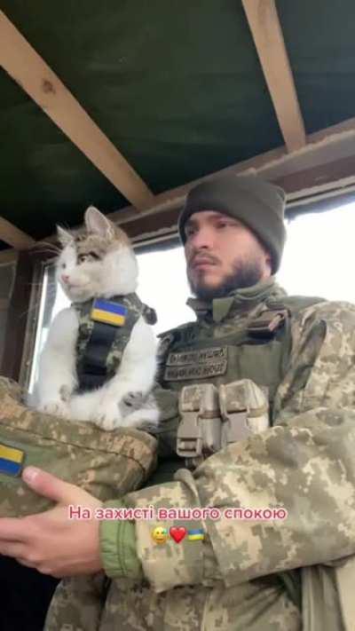 Keeping an eye out for any sneaky Russian invaders 💙💛