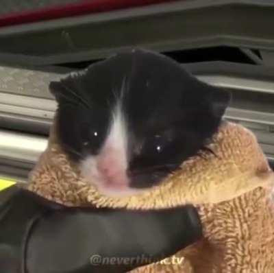 MoaiGreddit - Video #7068