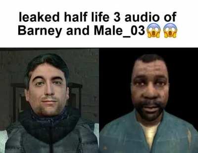 fresh leek from taylor mkvikur