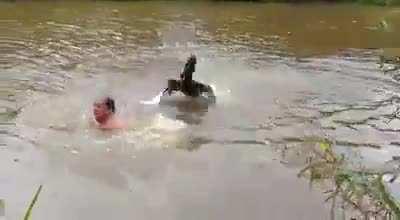 Don’t mess with swans