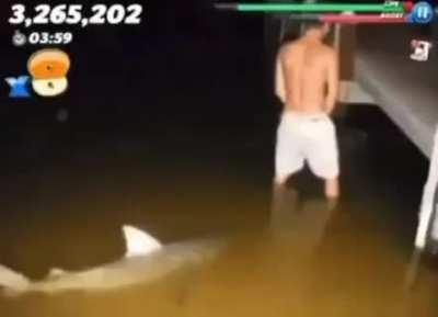 The rockpiss chronicles