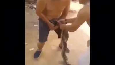 I hope this doesn’t break rule 2 or 8 but I think it’s braindead enough for okbr