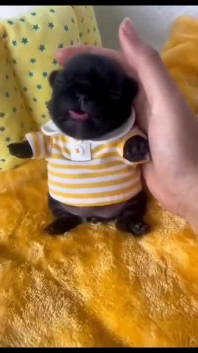 Deja de molestar woeon👿💀