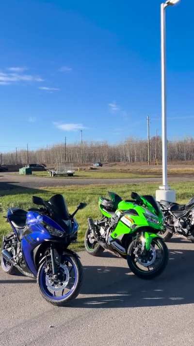 Team Green or Team blue