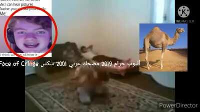 Punjabi 2019 sex meme funy نيغا الجنس ولعب اطفال كرات أنبوب الجنسالحلم لم يغشالحلم لم يغشلعب نيغا حرام knuckles meme approved nigga haram unboxing يونغ بي ام funy اللهأنبوب حرام 2019 مضحك عربي 2001 سكس (sorry if it's bad)