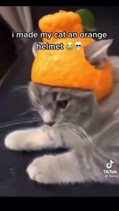 helm of the citrus warriors: +5 DR, deals 5 acid damage to both you and your enemy everytime you are hit within melee range.