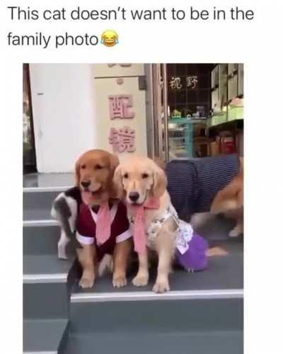 You like it or not...you are in the family