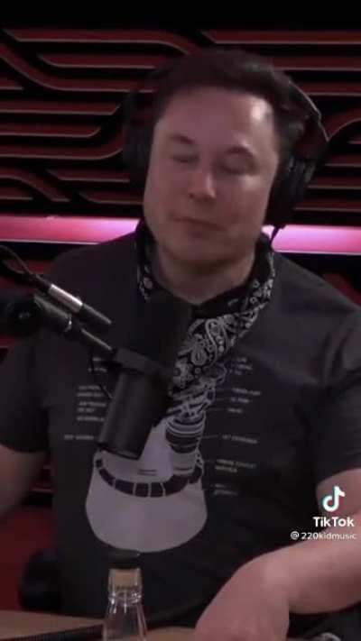 Daddy Elon got our trendies in the oven 🦍💎