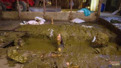 Three girls enjoying their time in shit [F]