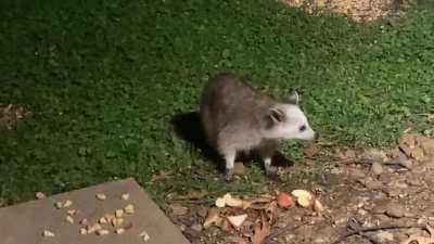 Who knew an anti masker could be so adorable?