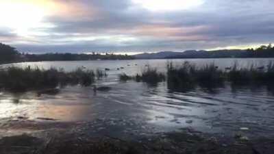 Sunset, Claremont Tasmania, Australia.