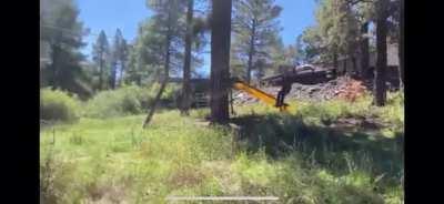 Horrible or hilarious