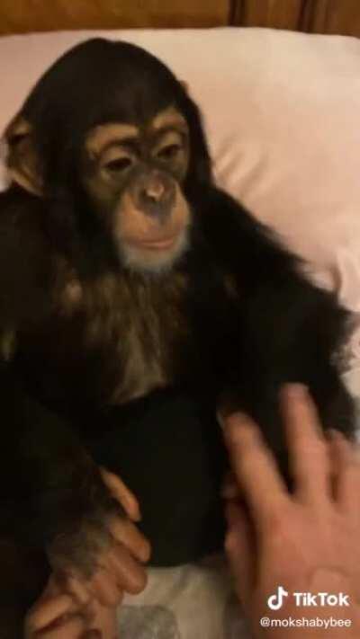 Niño mexicano antes de ir al la escuela