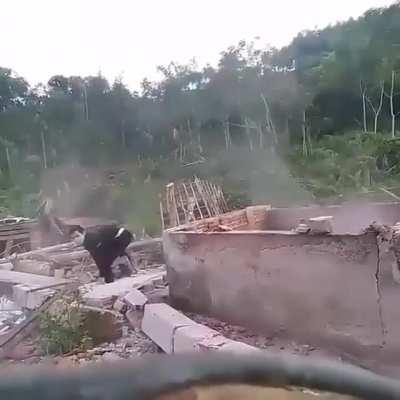 Accidental flip flop loss