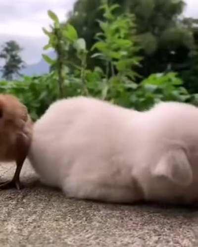 Segunda-feira, vc no transporte público indo para o trampo.