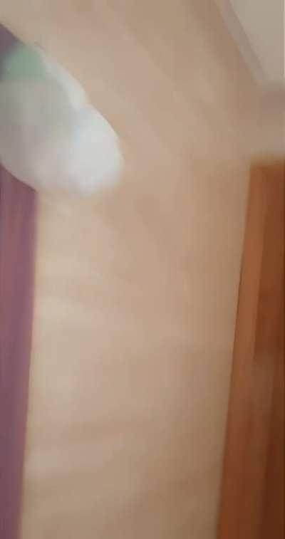 41yo, would you fuck this wife raw ?