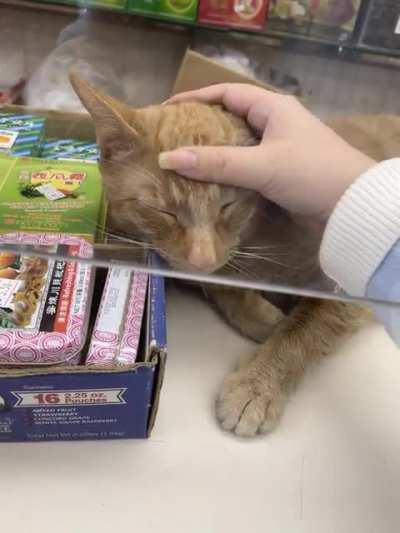 Trying to find the braincell but I don't think its working