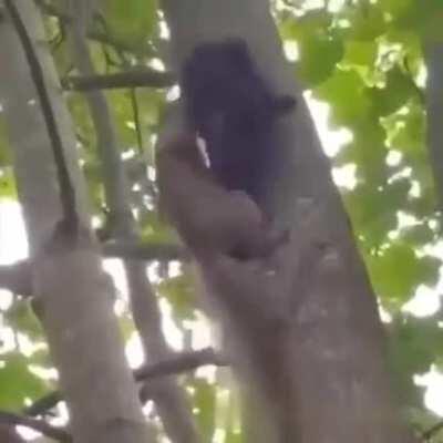 Top 10 Anime plot twists