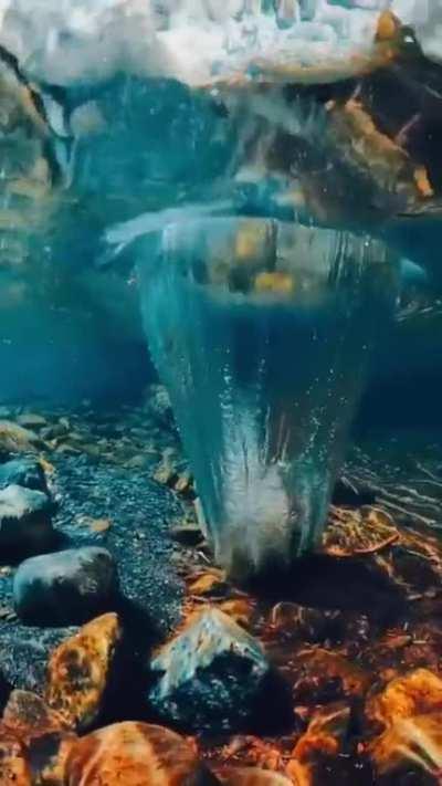 Охрененское видео