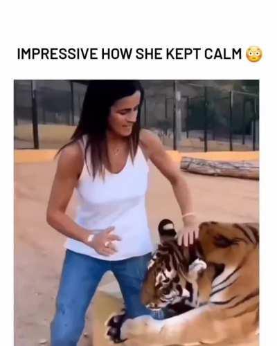 The tiger showing how many ways it could eat her