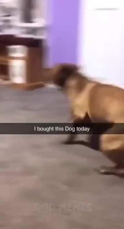 This is how ttv sweats play on rebirth