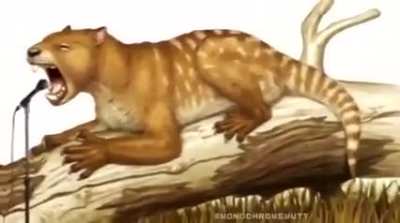 I dunno what to title this