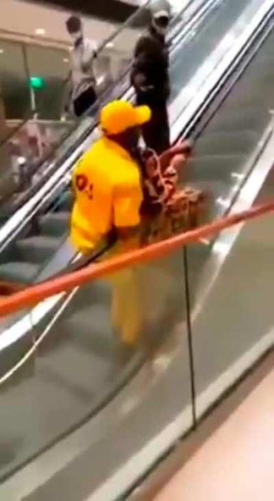 Escalators can be tricky