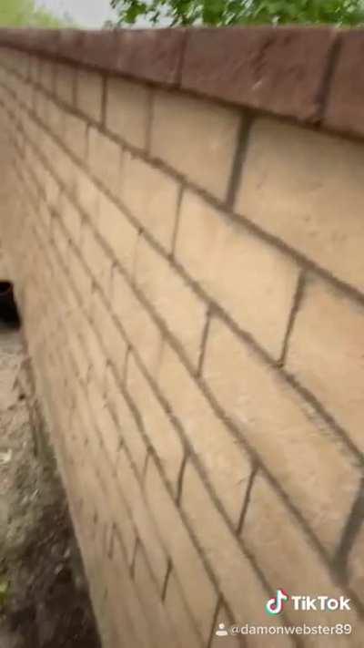 He knew freedom for a whole 1.2 seconds