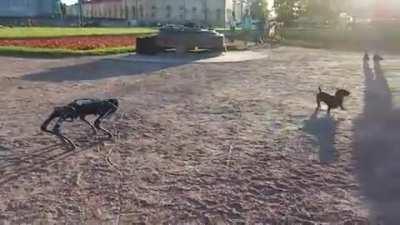 The future is now 6.0