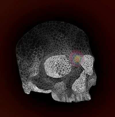 My wife asked me why I kept drawing this skull every night. I told her “there are people tripping right now, and they need cool stuff to look at.” Hope you like it! I’ll link the still image in the comments in case you want to zoom in on my obsession.