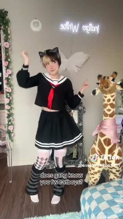 Does gang know you fw catboys?