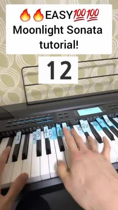 learn Moonlight Sonata by just watching youtube tutorial vedios🤯🤯
