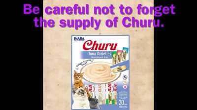 Drunk Aki talks about her cats like a proud Mother for her kids