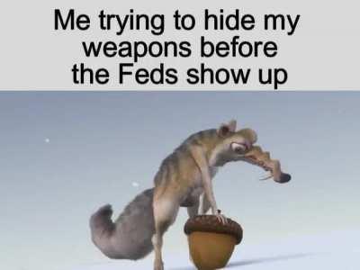 I swear they fell off a boat