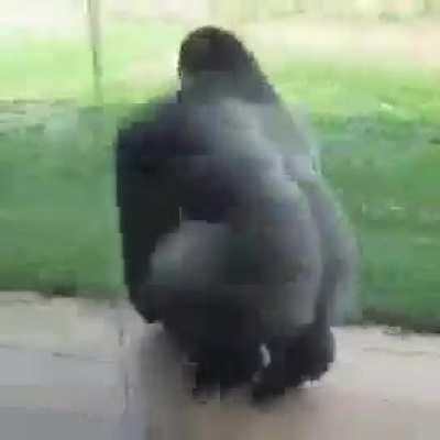 -... ..- .-. ....😳