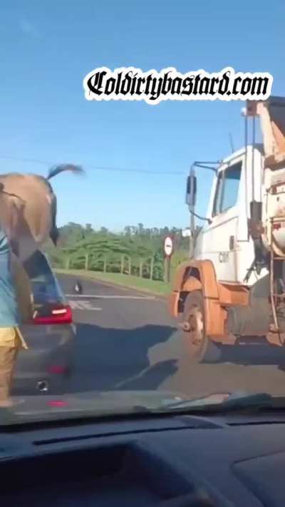 She somehow screamed in lower case