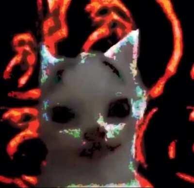 Cursed_Void_Kitten