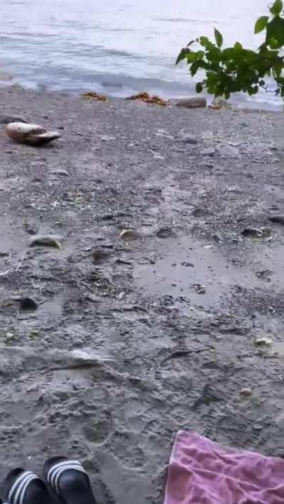 Sex on the beach 👅