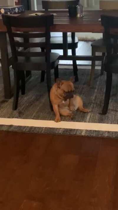 Came to eat breakfast and found him doing this